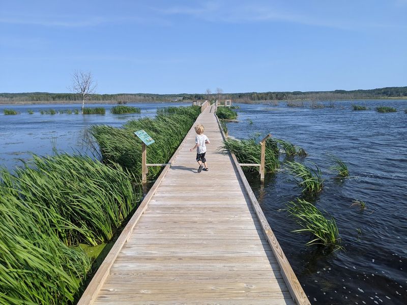 Wildlife Beyond the Birds: What Else Lives Here