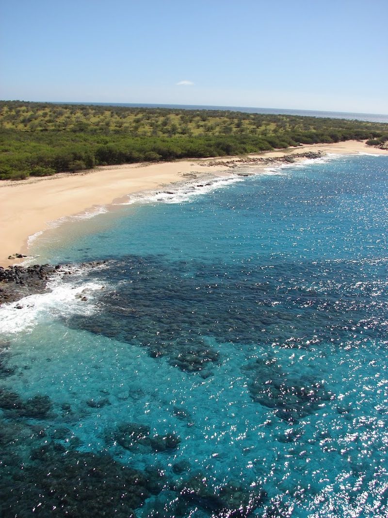 The Famous Ni'ihau Shells and Their Cultural Value