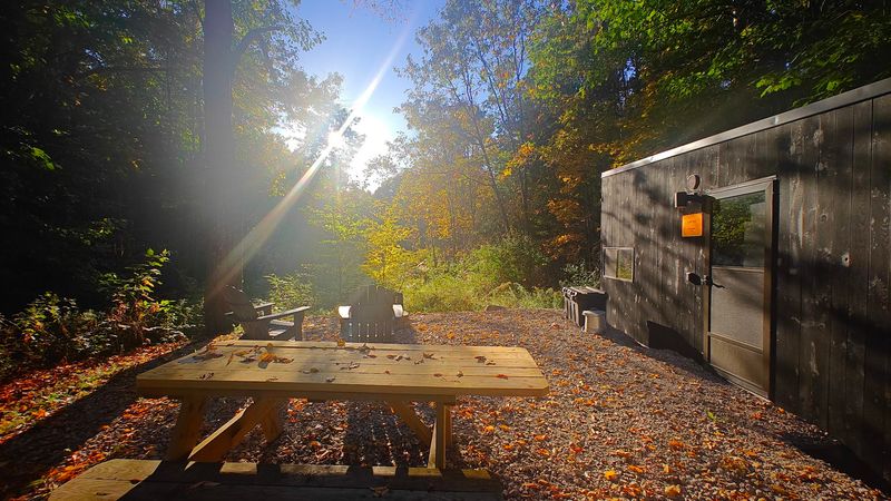 How the Property Handles 45 Cabins Without Losing the Private Feel