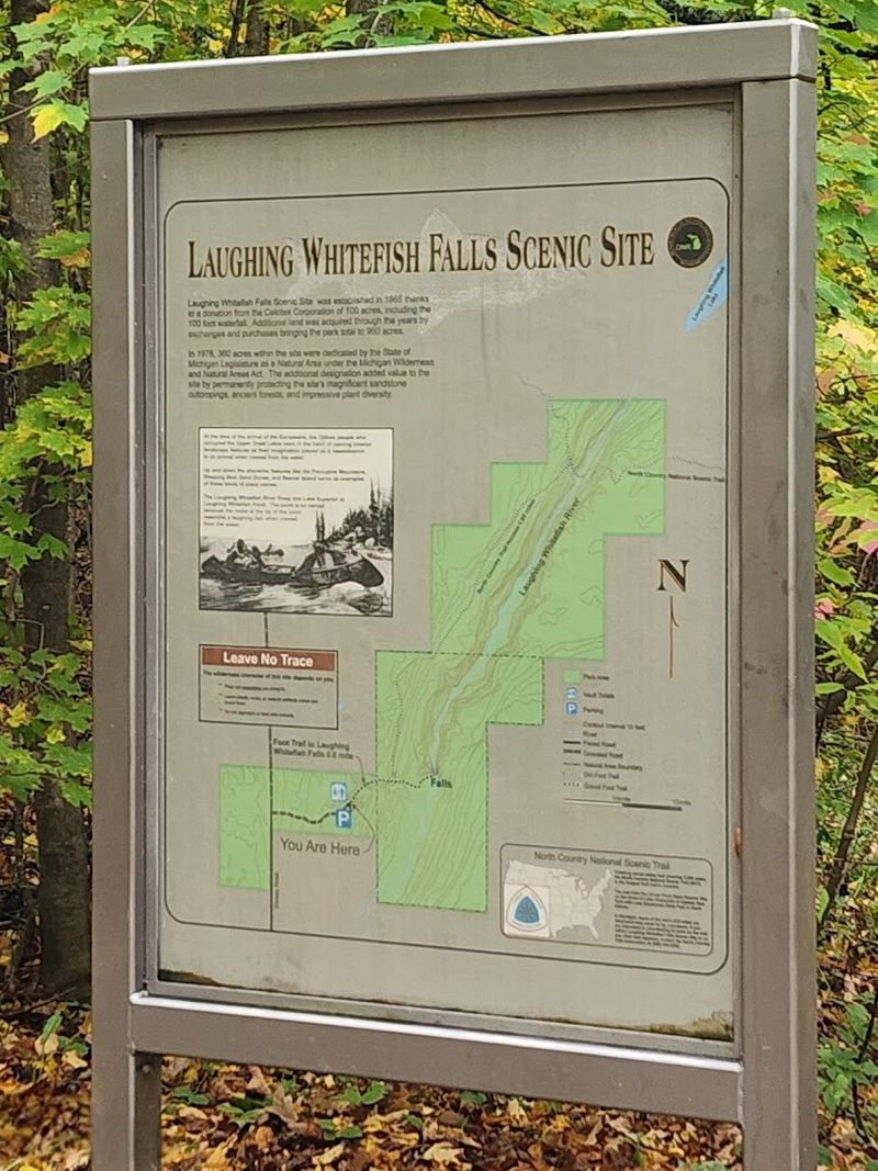 Practical Tips for Your Visit