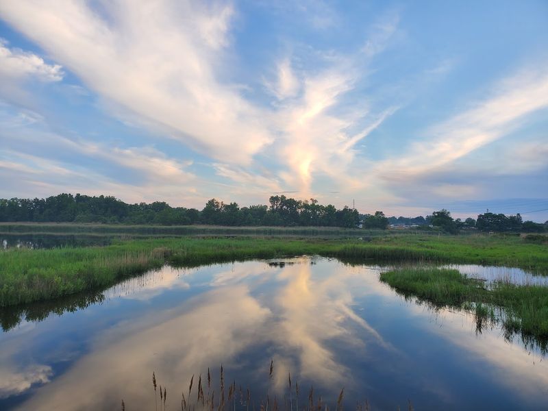 Best Times of Year to Visit