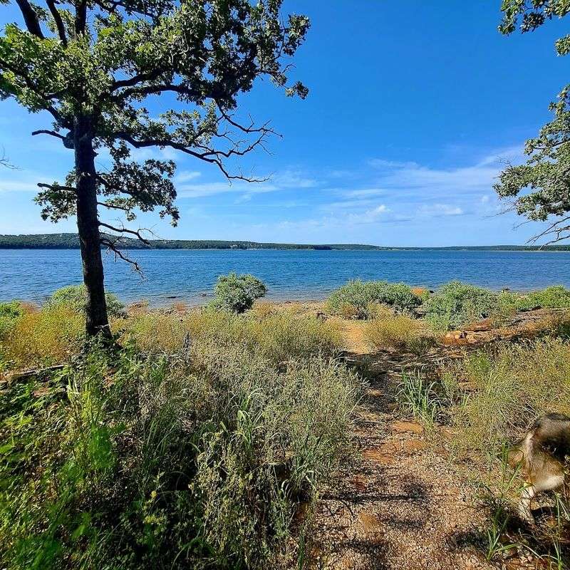 The Lakeside View Past the Rock