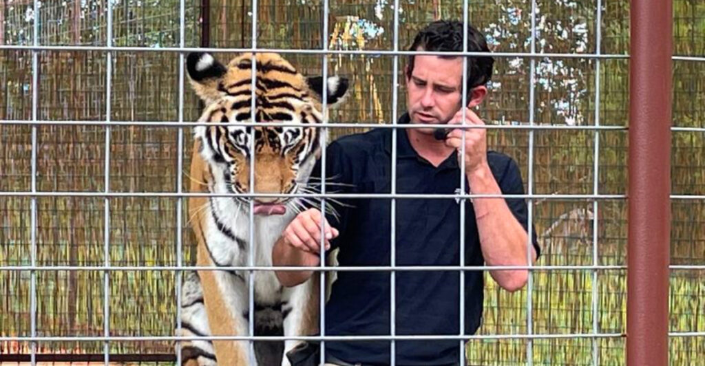 The Oklahoma Attraction Where You Can Experience Tigers Like Never Before