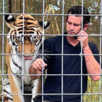 The Oklahoma Attraction Where You Can Experience Tigers Like Never Before