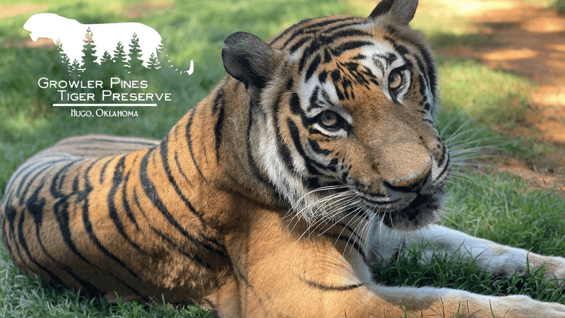 Where the Preserve Calls Home