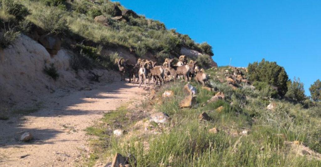 The Oklahoma High Point Trail Is an 8-Mile Adventure With Prehistoric Roots