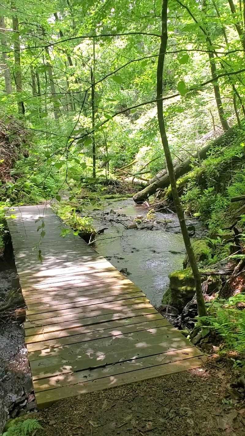 Maintenance Is the Honest Caveat