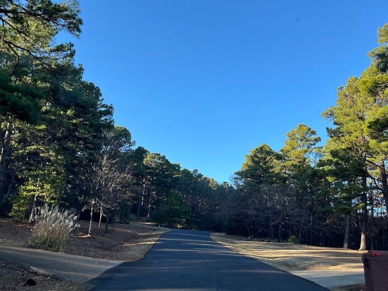 The Winding Road to the Top