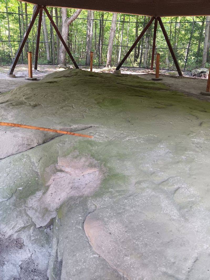 The Cultural Significance to the Saginaw Chippewa Nation