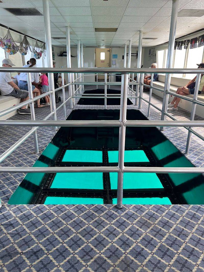 How the Glass Bottom Works and What to Expect Below