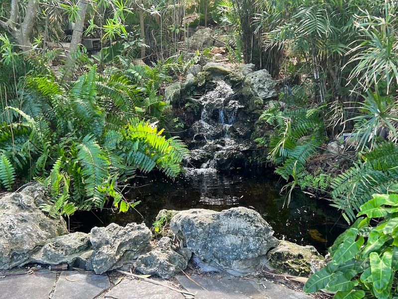 Rare and Unusual Tropical Plants