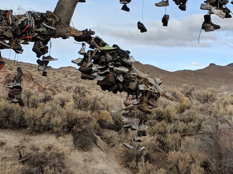 What the Tree Actually Looks Like Up Close