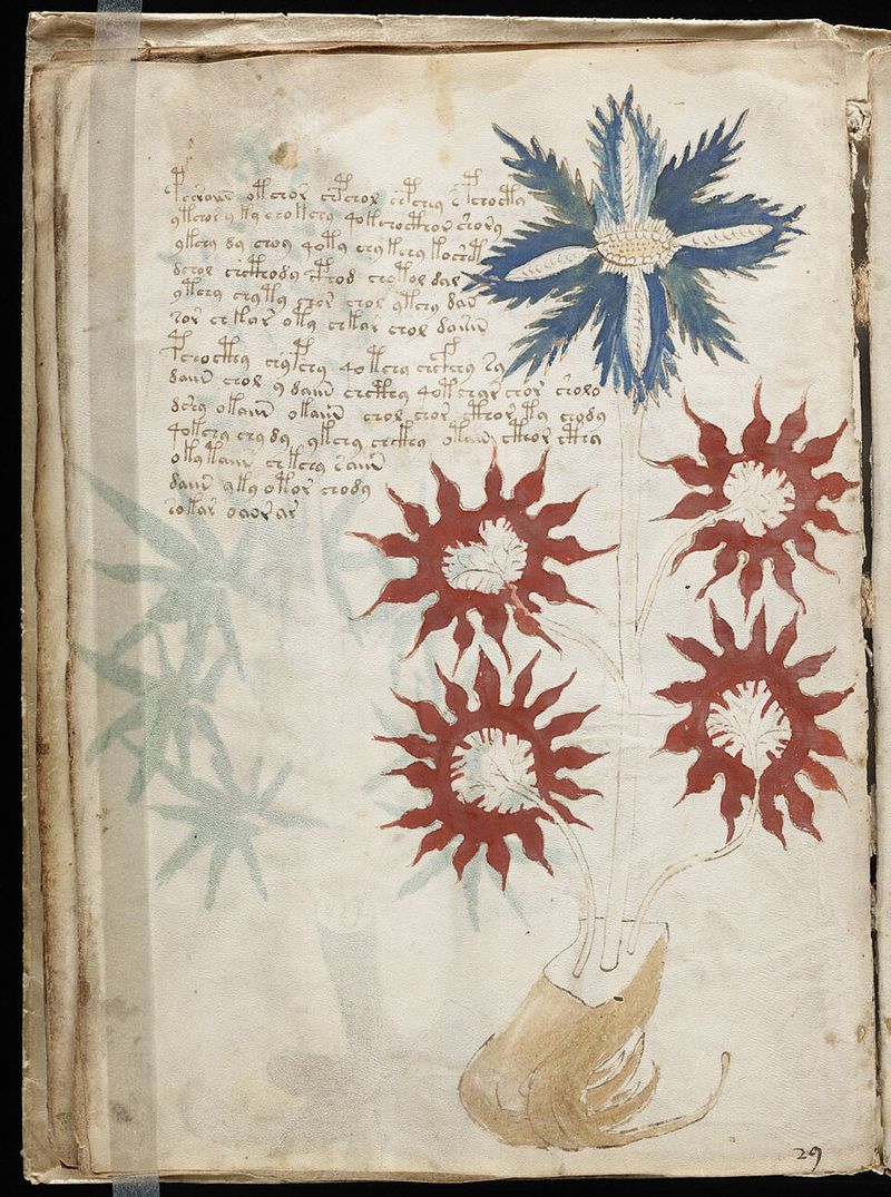 The Voynich Manuscript Explanation