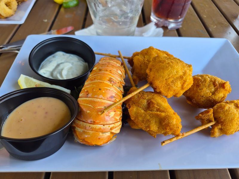 Fresh Oysters and Starters That Set the Bar High