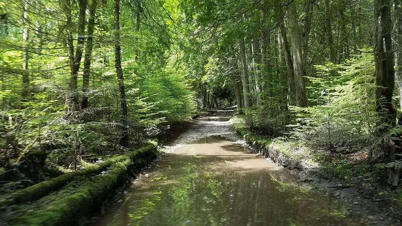 ATVs, Side-by-Sides, and Getting Around Without a Car
