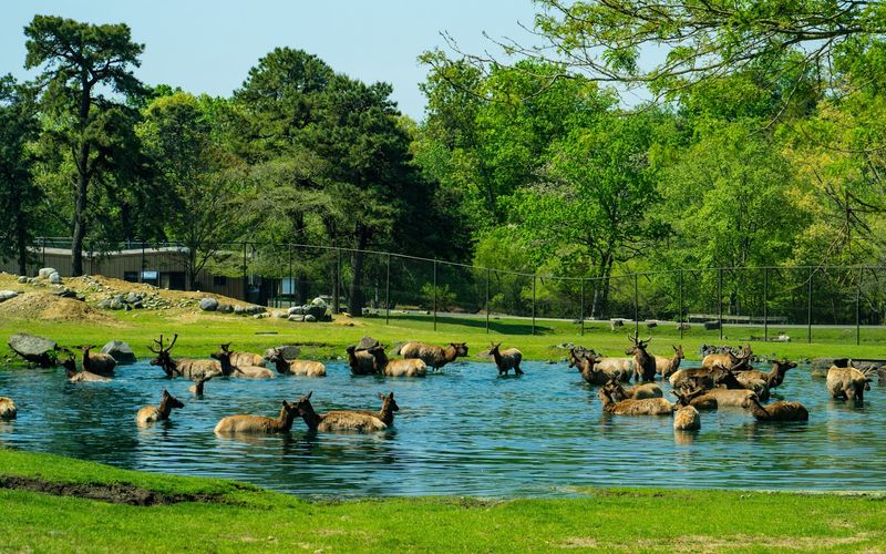 A Full Day Well Spent in Jackson Township