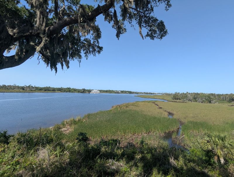Wildlife Along the Waterfront