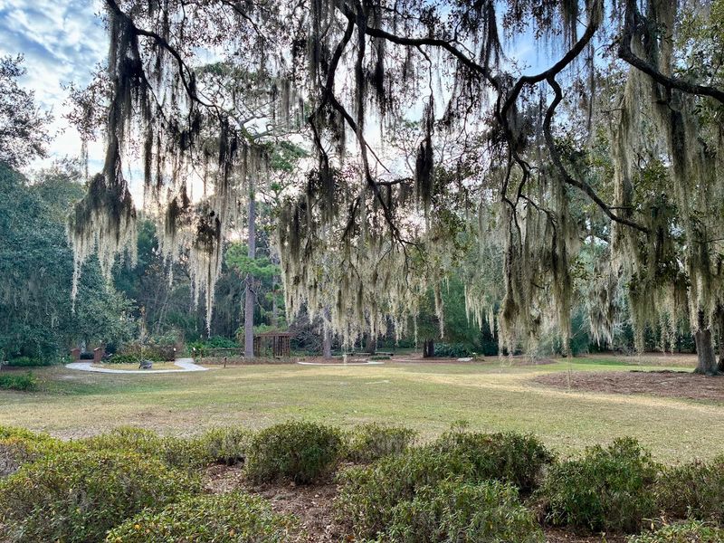 Picnicking and Relaxing: The Art of Doing Absolutely Nothing