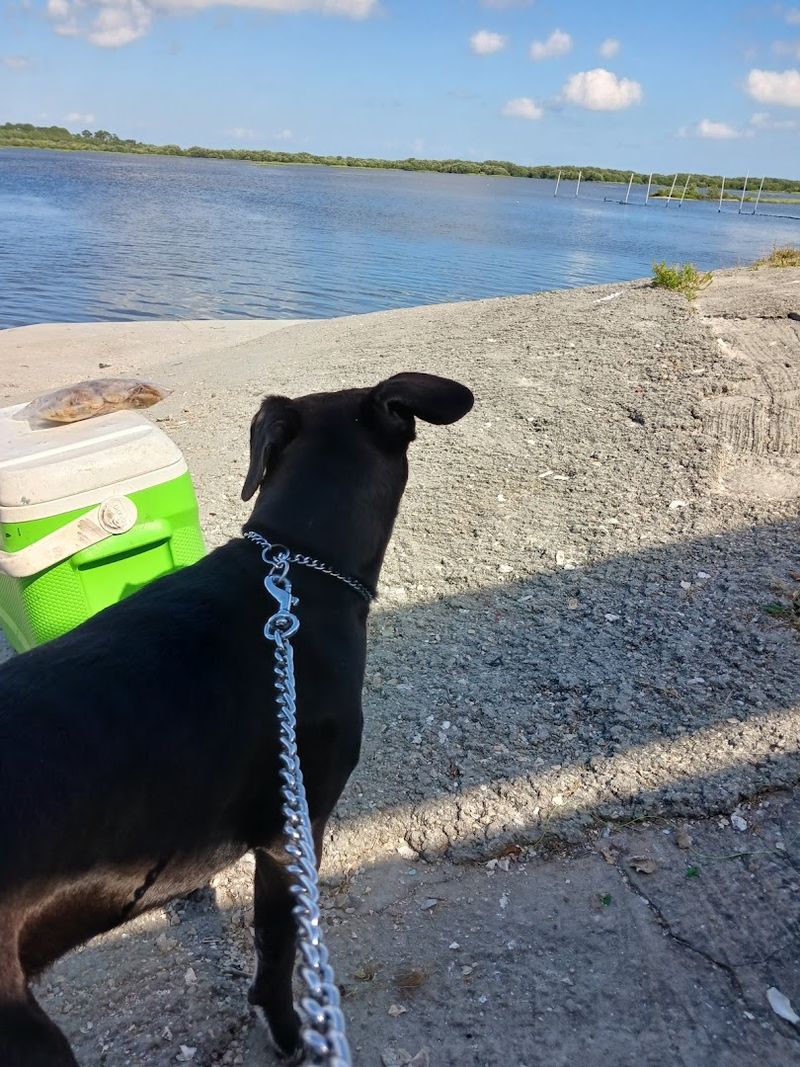How to Store Your Seafood for the Drive Home