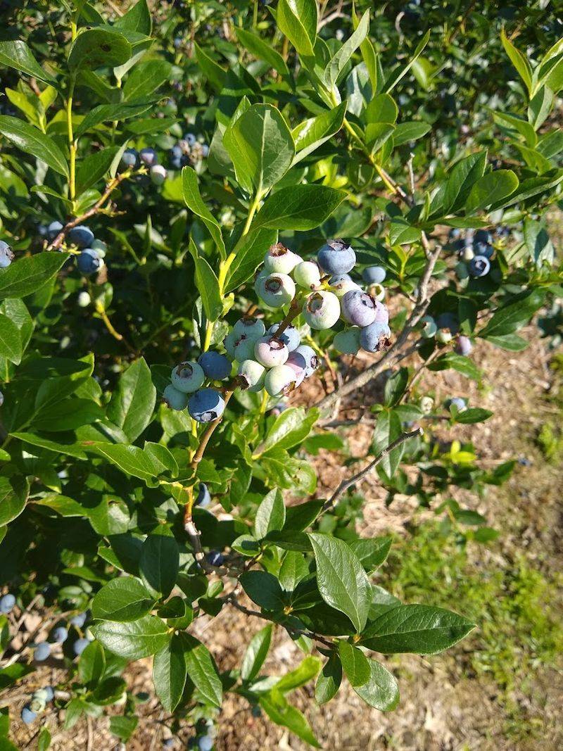 Tips for Planning Your Visit