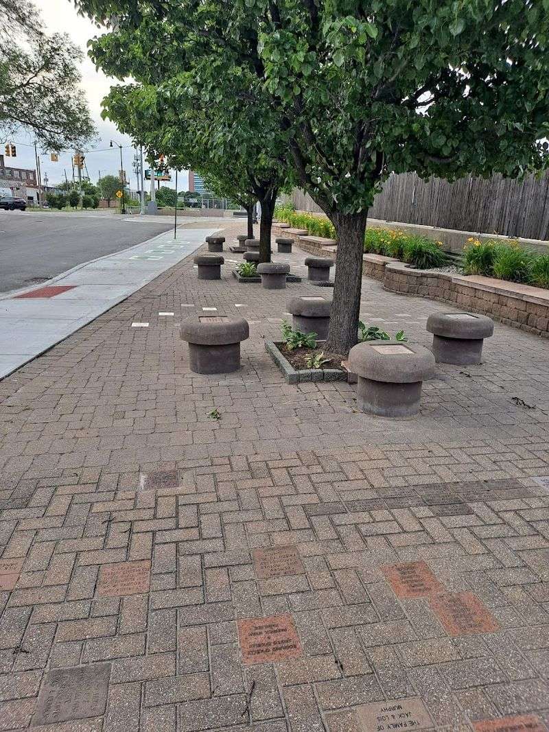 What the Ratings Reveal About the Experience