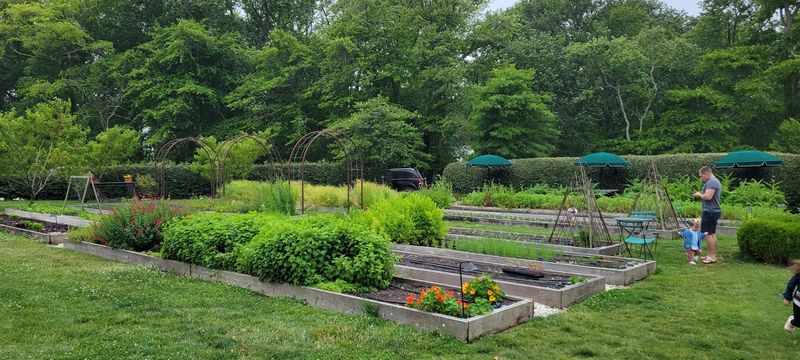 The Herb Garden and Grounds