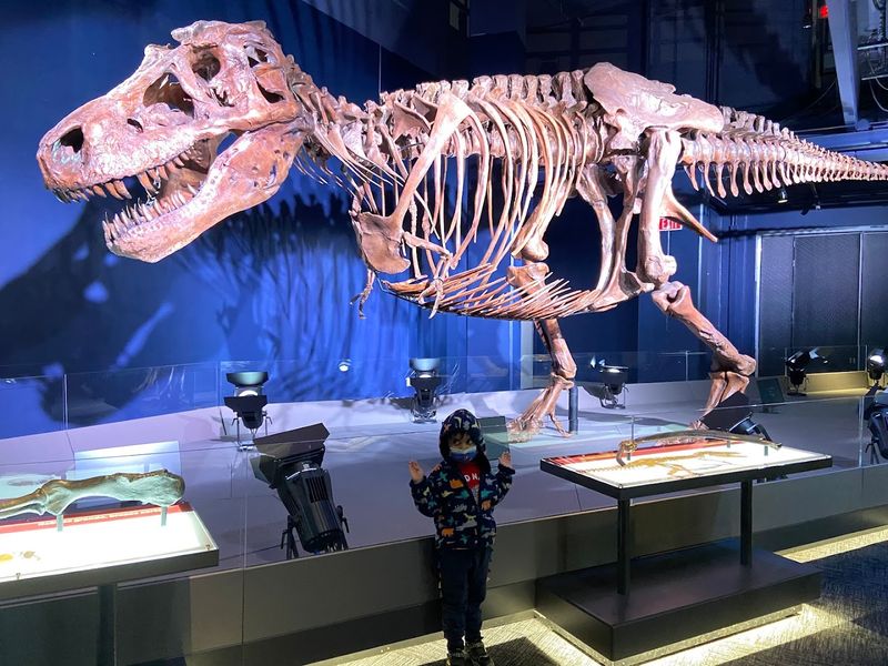 SUE: The T. Rex Experience
