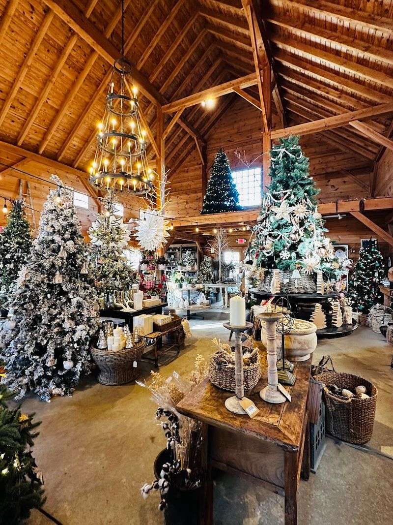 The Holiday Season Experience Worth Planning Around