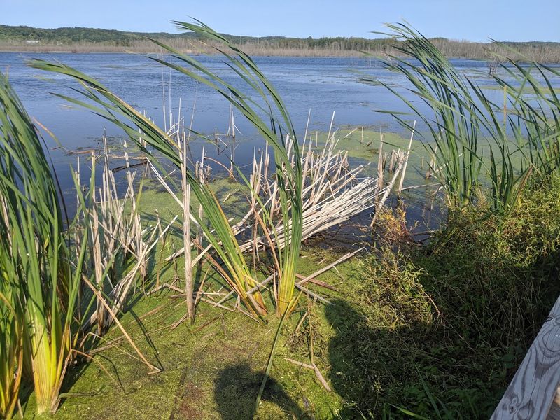 Practical Tips for Getting the Most Out of Your Visit