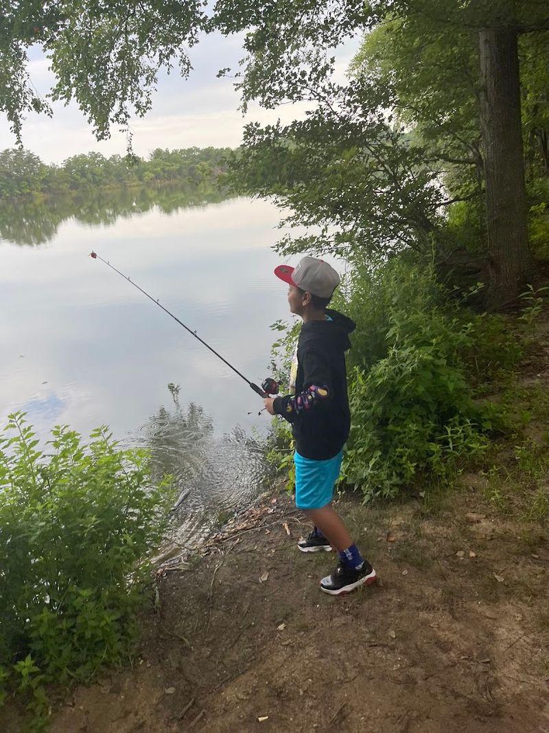 Fishing Along the Shoreline