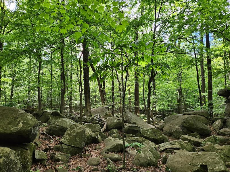 Why This Preserve Keeps Drawing People Back