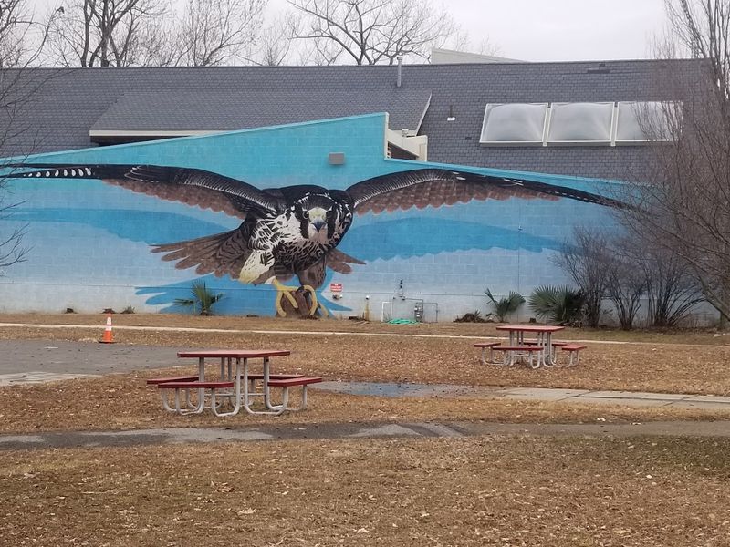 The Environmental Education Center