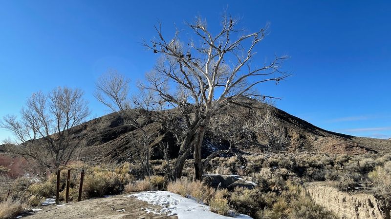 Best Times to Visit and Practical Planning Advice