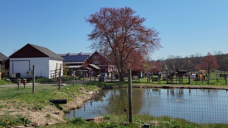 What Keeps People Coming Back