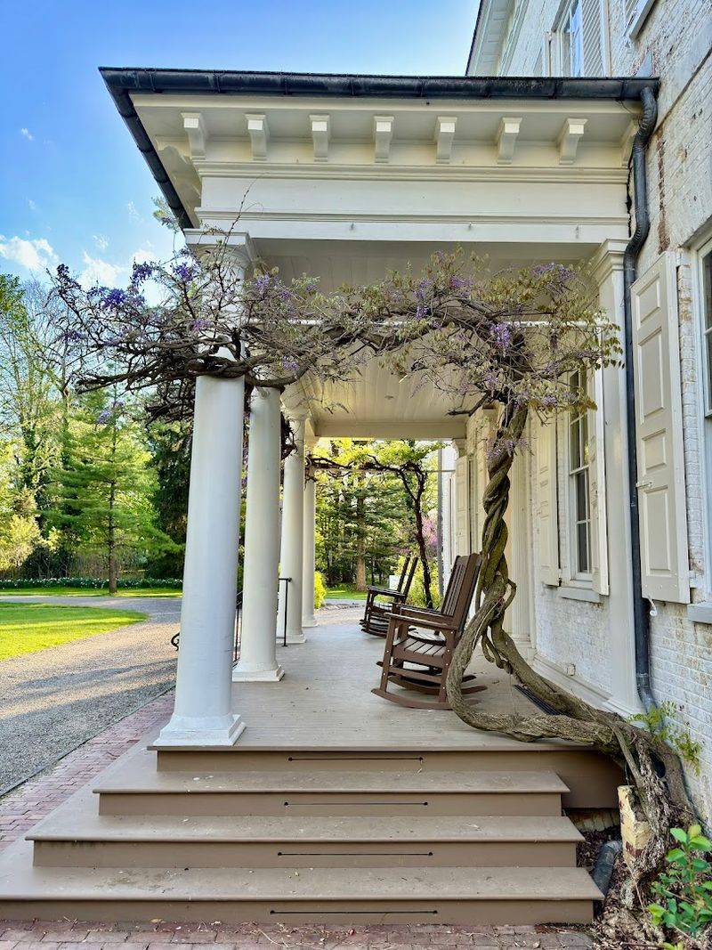 Practical Tips for Getting the Most Out of Your Visit