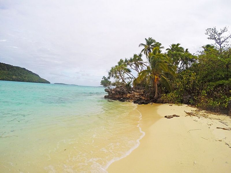 Practical Tips for Visiting Tonga