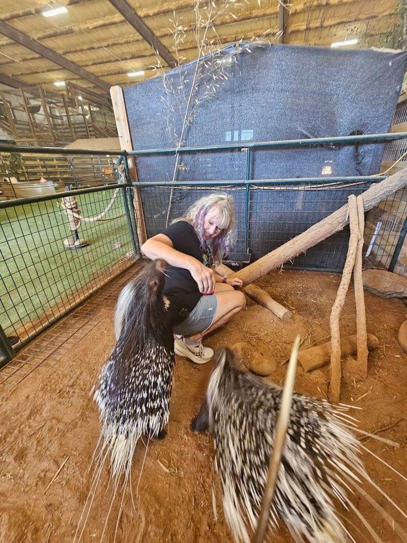 Who Visits and Why They Come Back