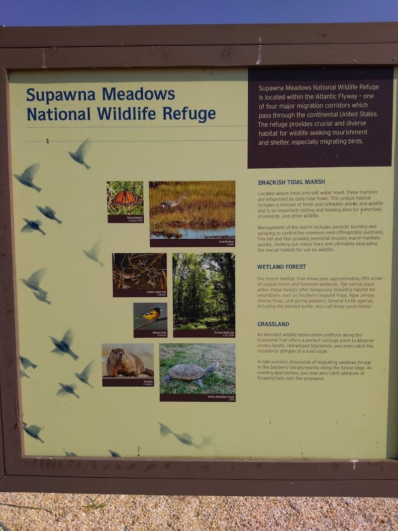 Signage and Navigation: Managing Expectations