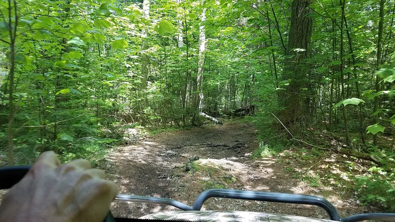The WWII Bunkers Hidden in the Woods