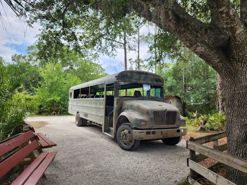 The Safari-Style Swamp Buggy Experience