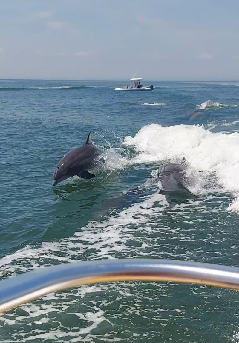 Educational Value: Learning While Having Fun