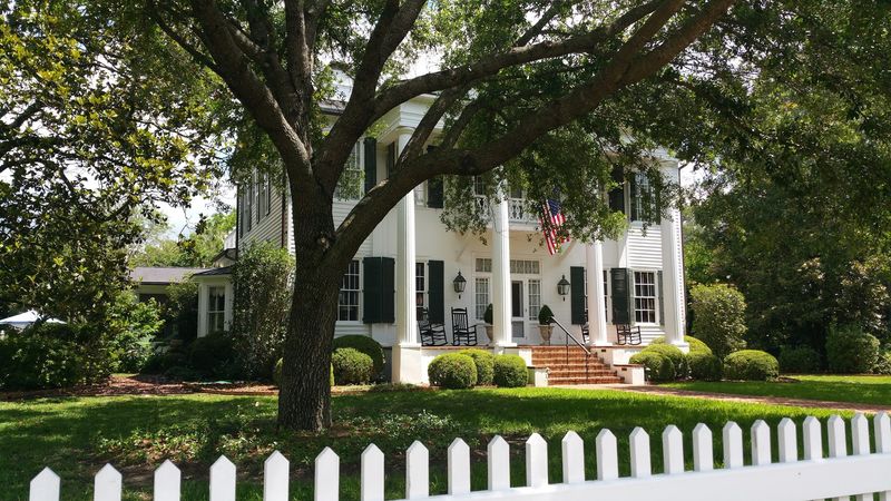 A Peek Into the City's Population and Community Feel