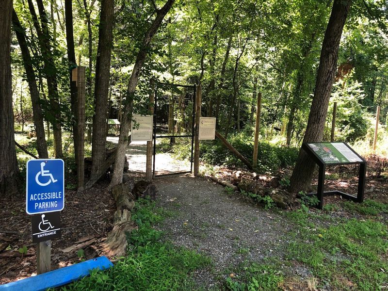 When to Visit for the Best Experience