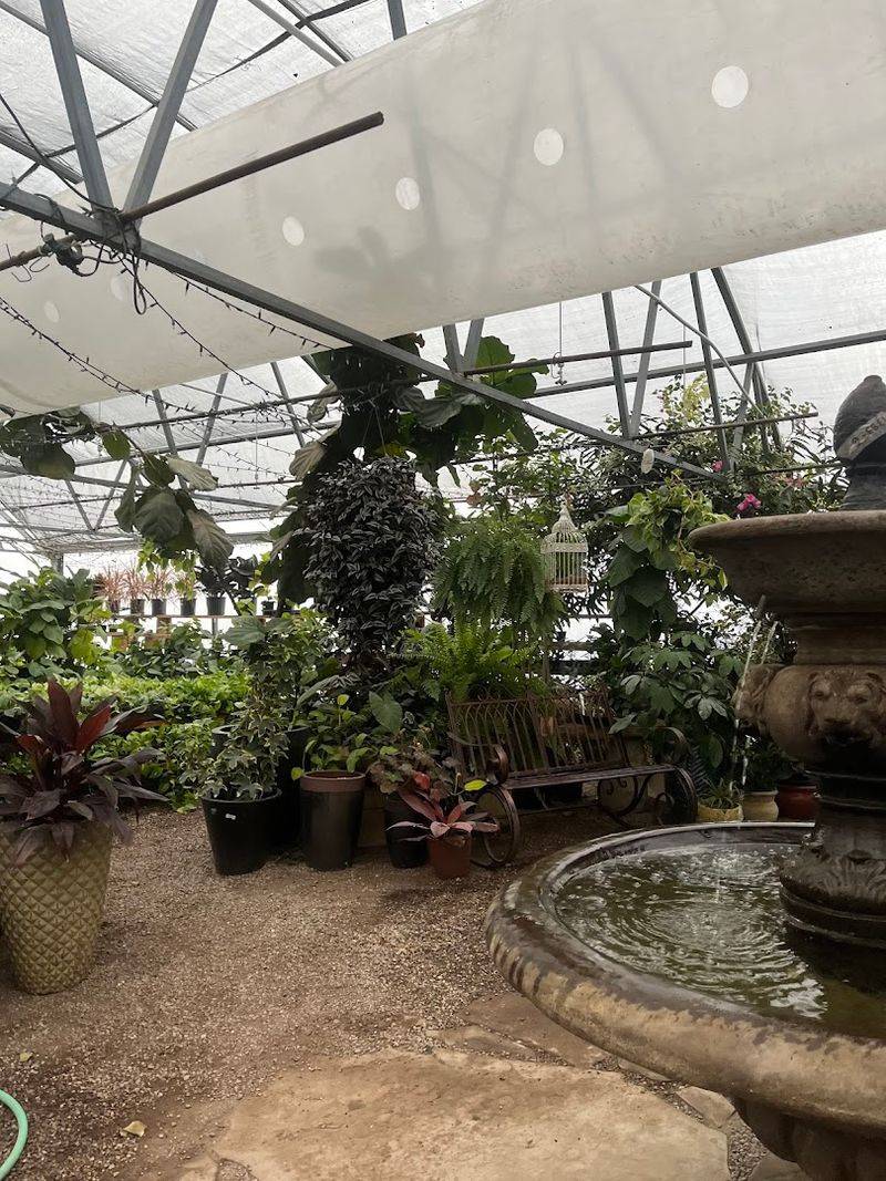 Water Features, Koi Ponds, and the Sound of Running Water