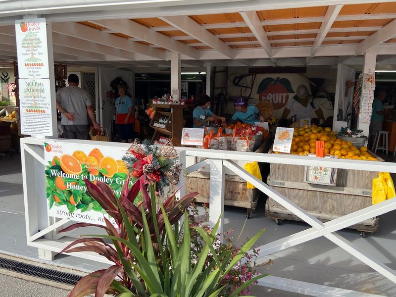 The Atmosphere Out in the Orchard