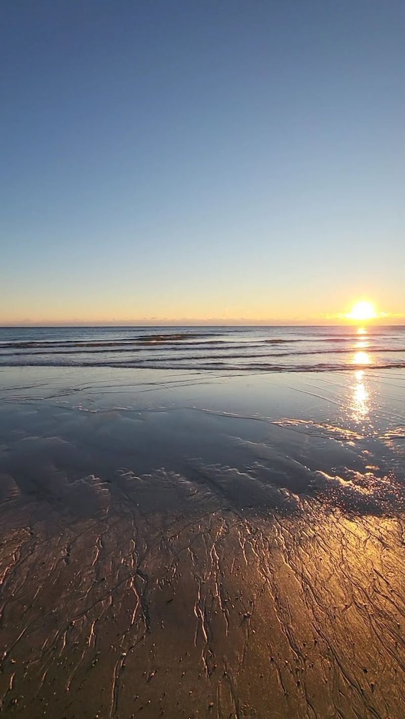 The Beaches That Keep Visitors Coming Back