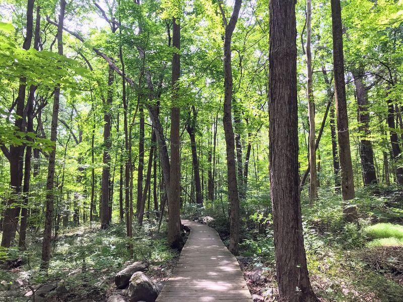 Trail Options for Every Skill Level