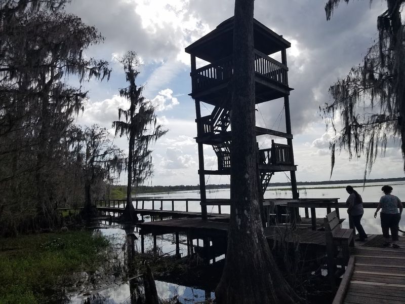 Tips for First-Time Visitors Who Want to Get the Most Out of It