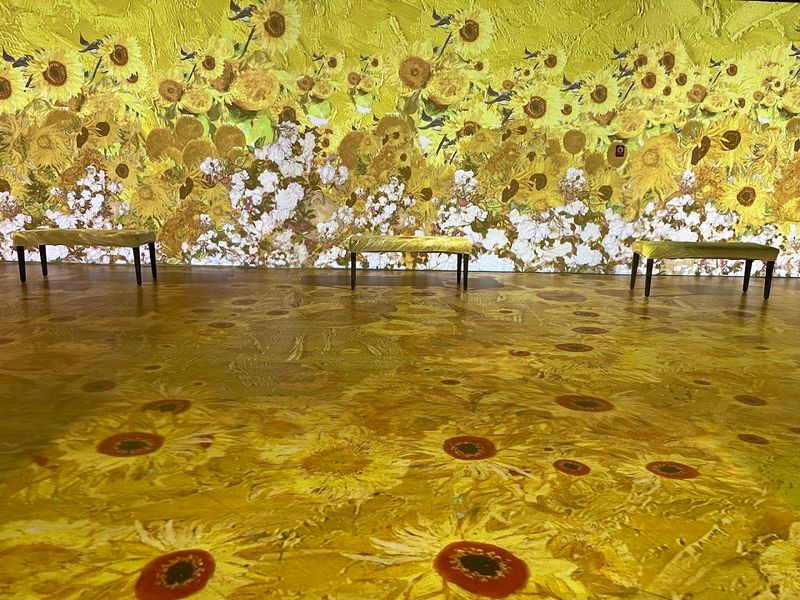 The Immersive Van Gogh Experience: A Bonus Worth Having
