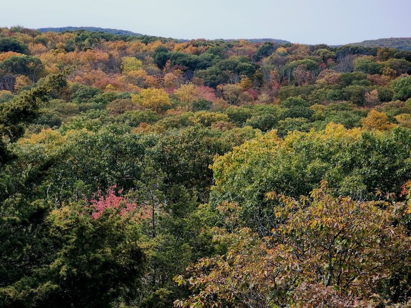 Views From the Ridge